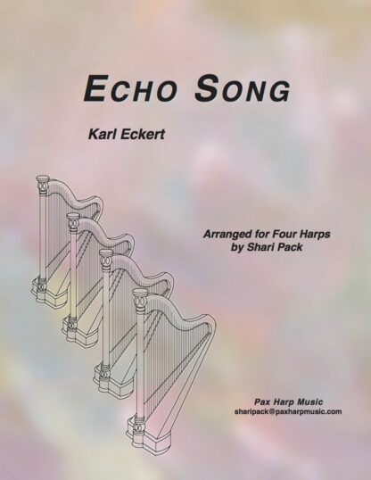 Echo Song Cover
